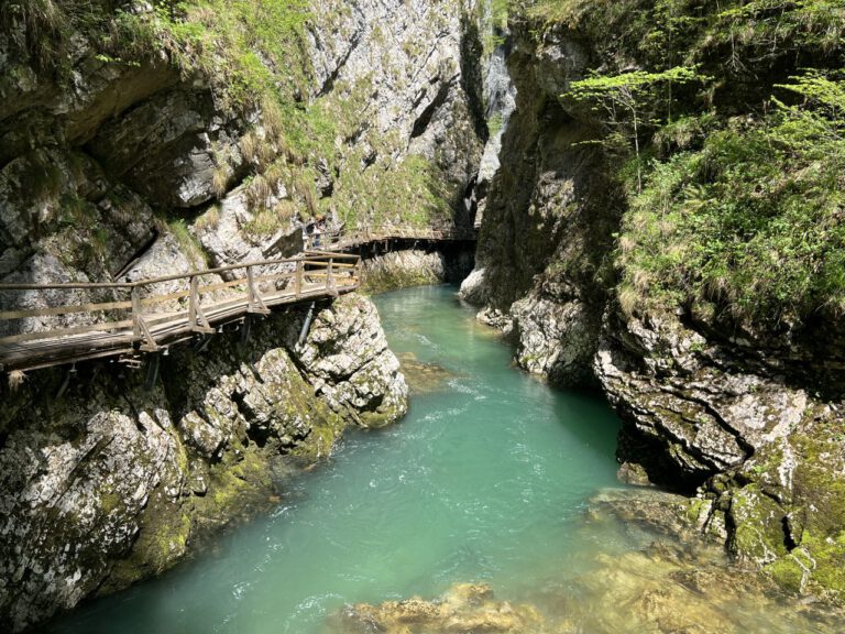 20250428 130723 0519