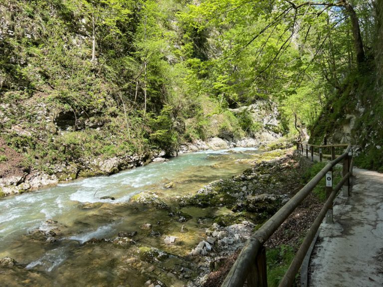 20250428 132948 0559