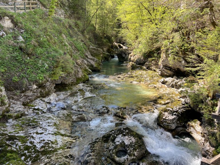 20250428 134653 0585