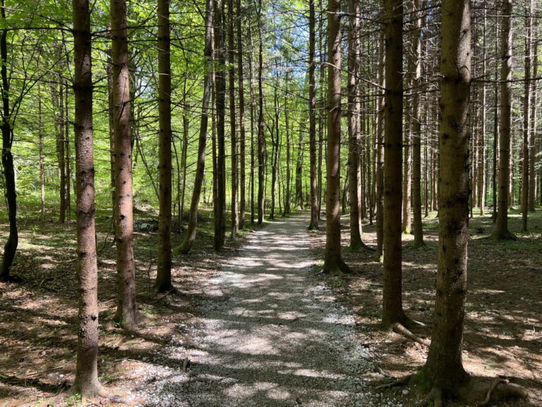 20250428 141326 0600