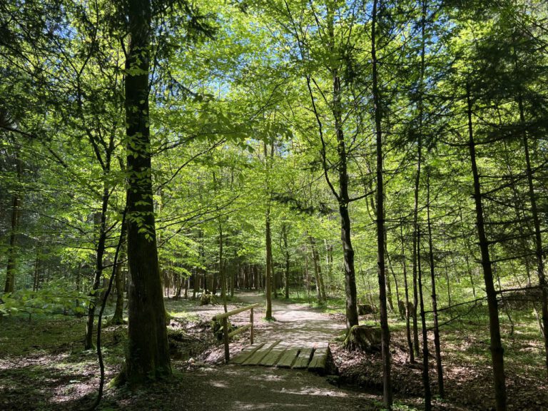 20250428 141539 0603