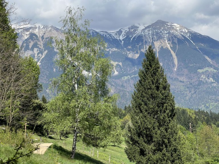 20250428 145151 0616