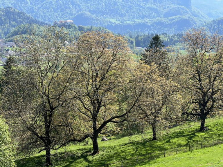 20250428 145420 0618