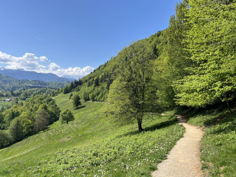 20250428 145923 0619